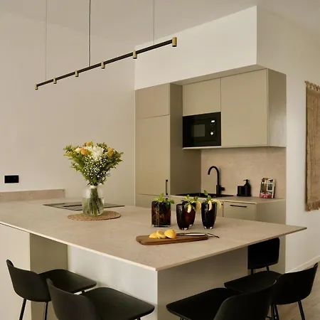 Somptueux Avec Grande Terrasse 公寓 戛纳